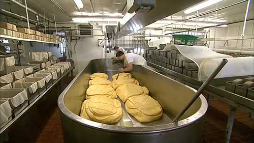 详述奶酪生产工艺