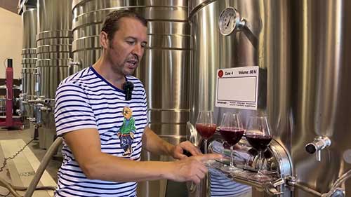 波尔多葡萄酒的生产工艺