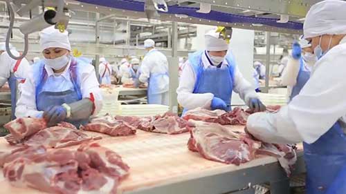 HACCP体系：食品危害分析