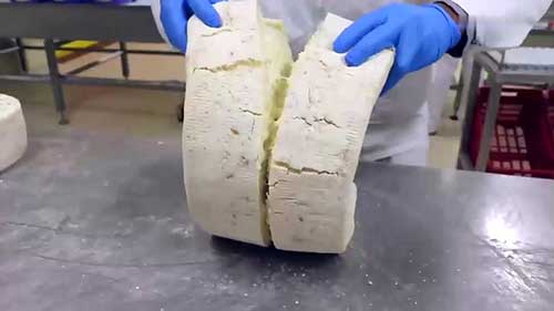 帕马森奶酪的生产工艺