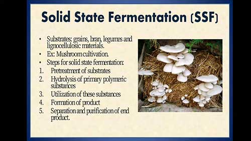 表面发酵和深层发酵