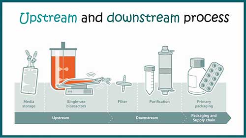 工业发酵过程概述