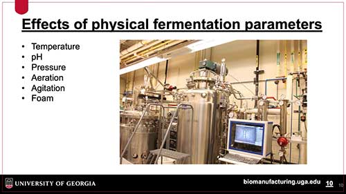 批量发酵基础知识
