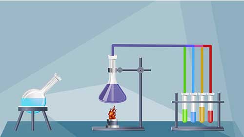 产淀粉酶菌种的鉴定