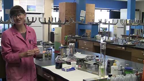 葡萄酒的酿造过程