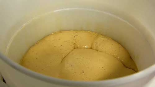 啤酒麦芽汁的发酵过程