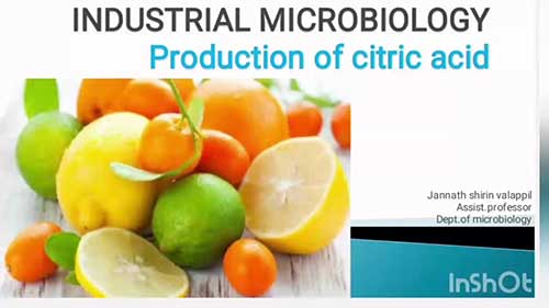 发酵法生产柠檬酸的过程
