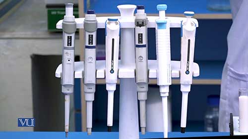 从乳品中分离乳酸菌