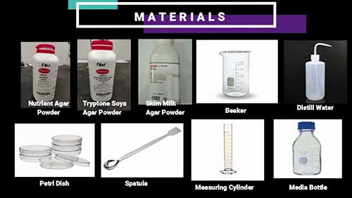 土壤中枯草杆菌的分离筛选