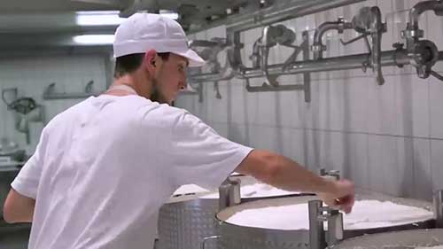 菲达奶酪的生产工艺