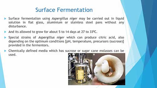 柠檬酸的发酵生产过程