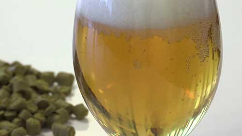 啤酒苦味值的测定方法