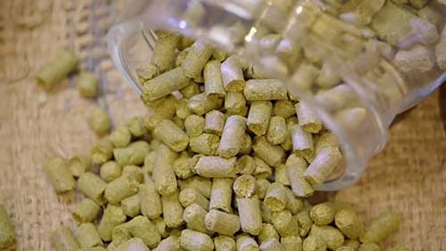 制备麦芽汁：煮麦芽汁