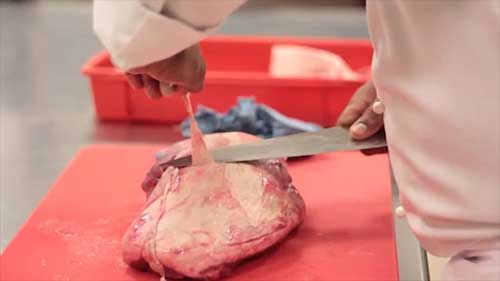 导致食物中毒的微生物