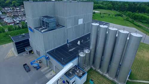 车达奶酪的生产工艺