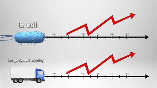 HACCP体系与食品安全