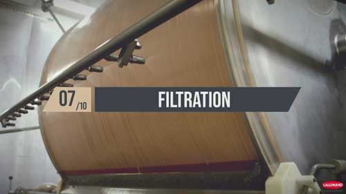 活性干酵母的生产过程