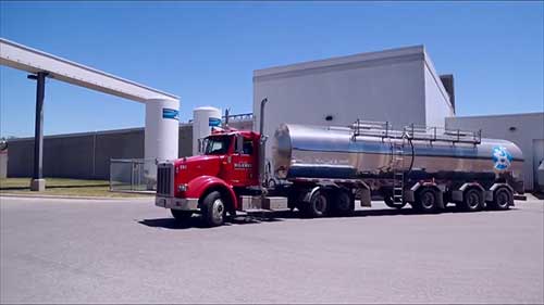 马背奶酪的生产工艺