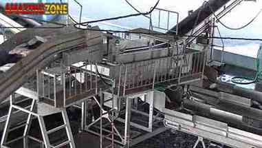 金枪鱼工厂加工过程