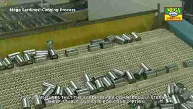 沙丁鱼罐头加工过程