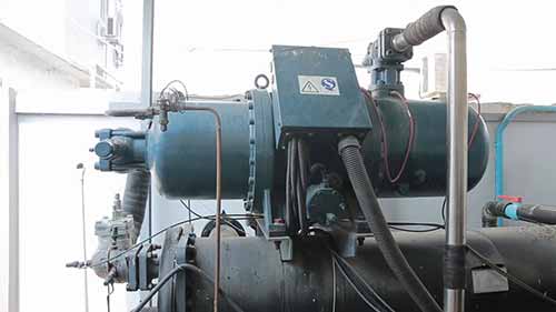 工厂海鲜冷冻加工