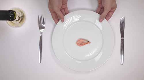 龙虾壳转变成生物塑料