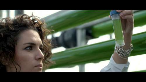 了解什么是微藻