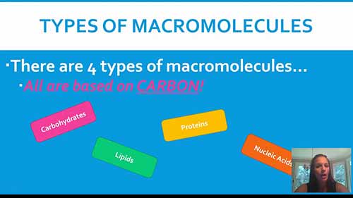 高分子的结构与功能