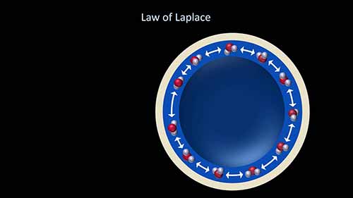 表面张力和表面活性剂