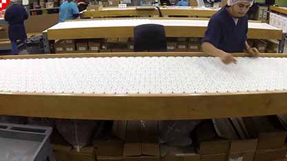 参观化妆品工厂