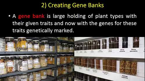 农业生物技术概述