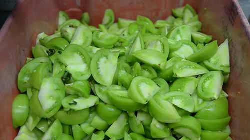 全基因组测序网络