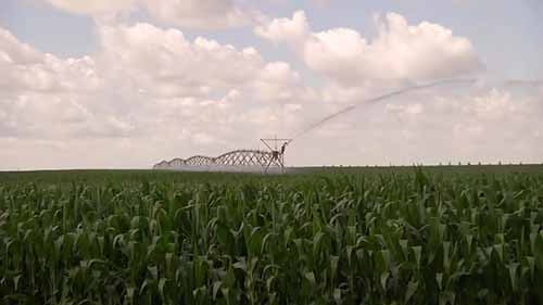 关于植物育种的问题