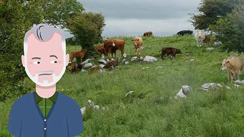 什么是选择育种