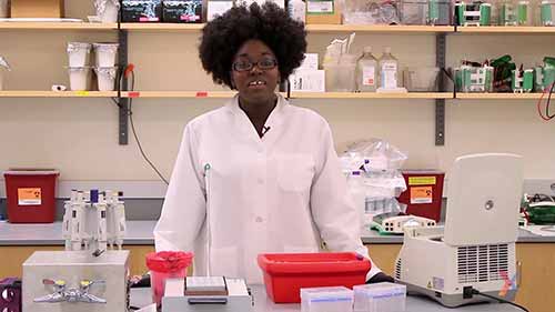 限制性酶切过程