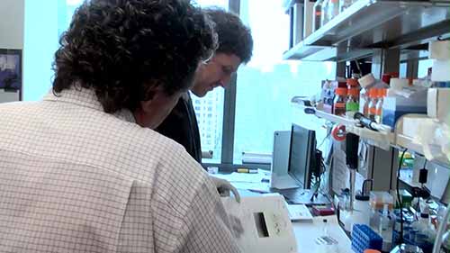 限制酶研究进展