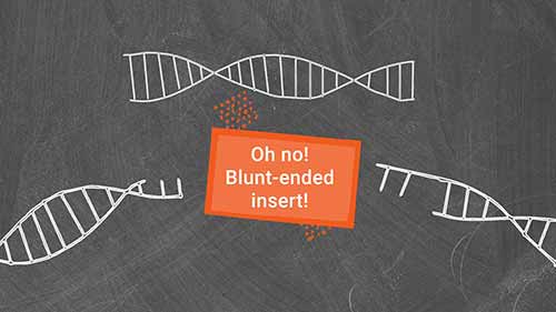 将插入物连接到载体上