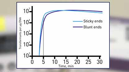 如何实现快速高效的DNA连接