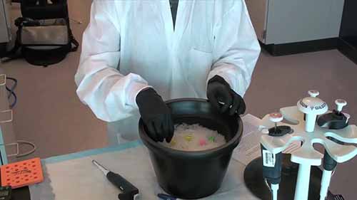 DNA插入物连接过程