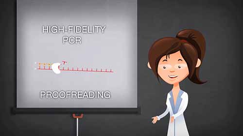 PCR中使用的DNA聚合酶特性