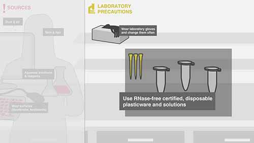 如何避免RNase对标本的污染