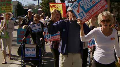 转基因食品的利与弊