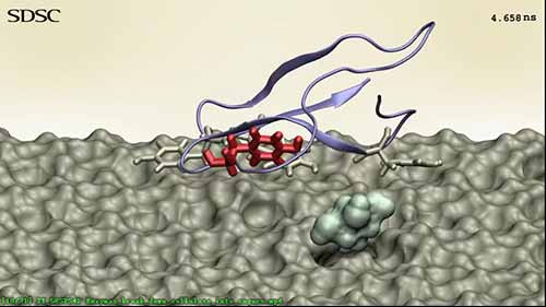 酶法水解纤维素