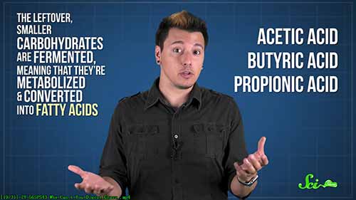 人类为什么无法消化草