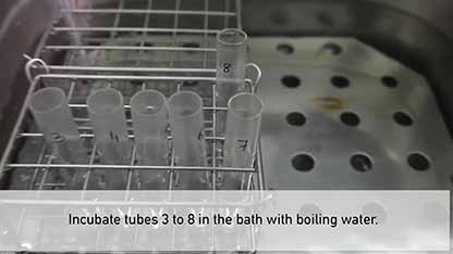 糖原的酸降解和酶法水解