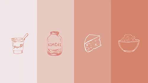 什么叫做发酵食品