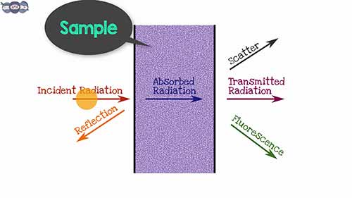 紫外可见光谱仪