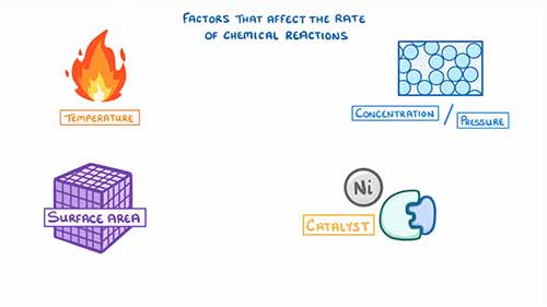 影响化学反应速率的因素