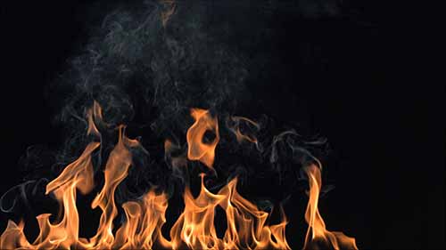 火药的化学成分