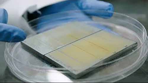 BP-ICAM的自愈合智能涂层研究